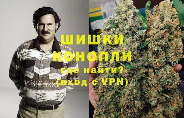 индика Баксан