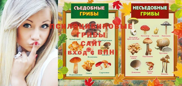 индика Баксан