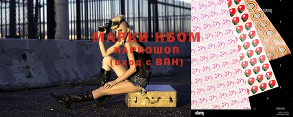 индика Баксан