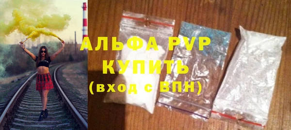 индика Баксан