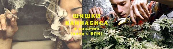 индика Баксан