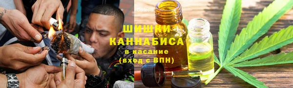 индика Баксан
