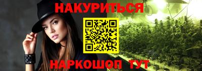 сатива Новодвинск