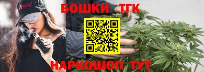 сатива Новодвинск